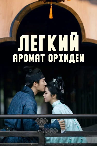 Легкий аромат орхидеи